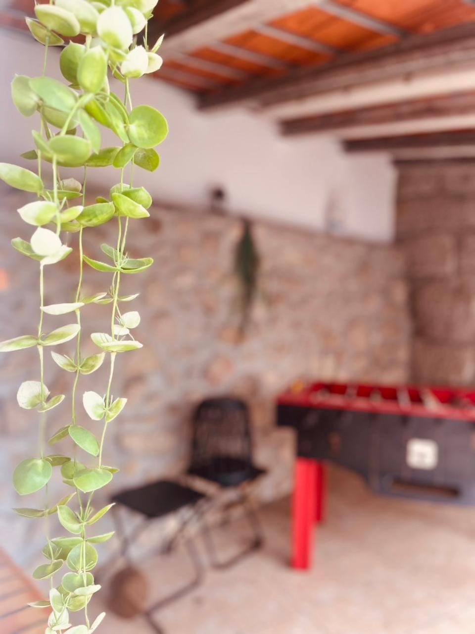 Quinta Jr - Casa De Campo Carregal  Ngoại thất bức ảnh