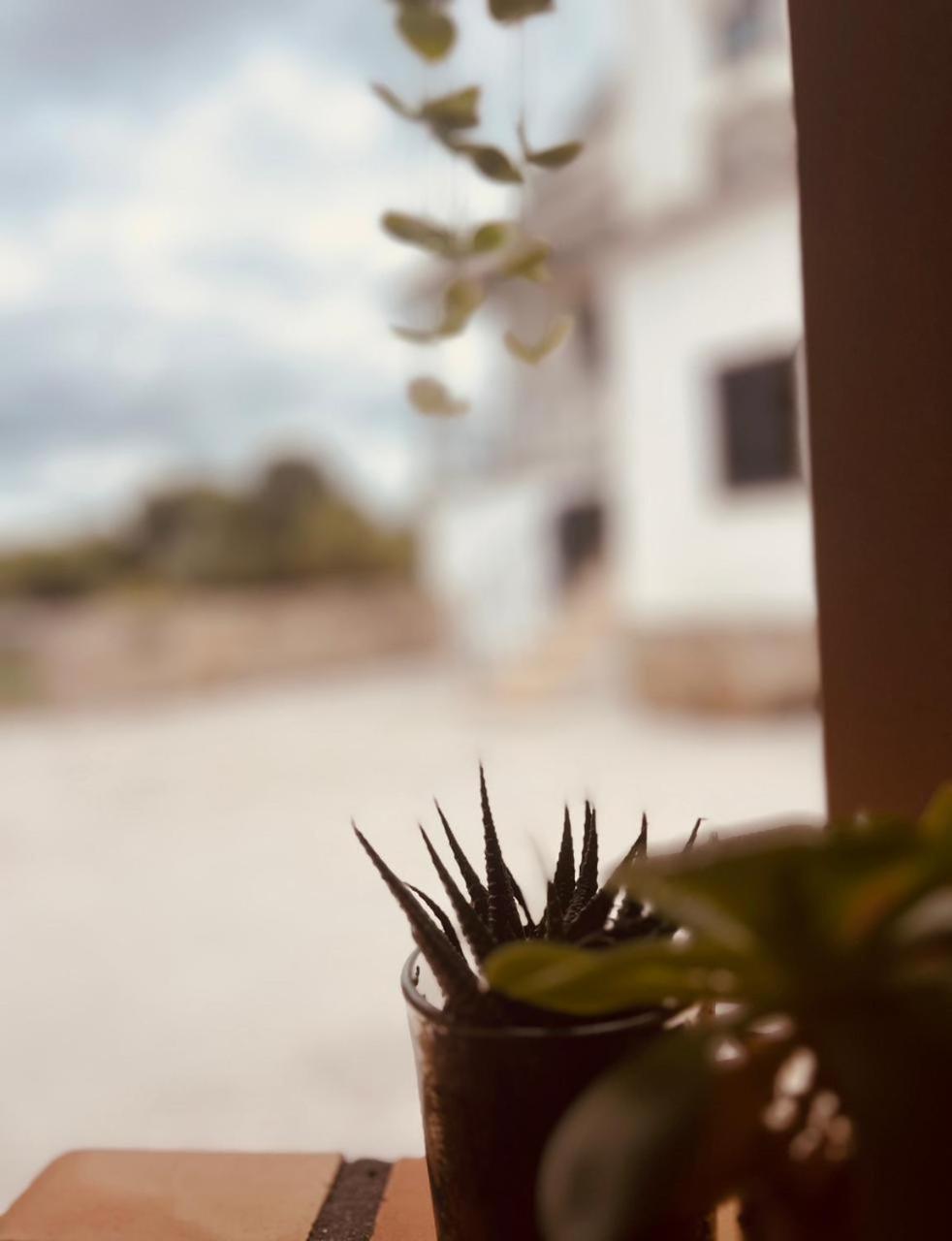 Quinta Jr - Casa De Campo Carregal  Ngoại thất bức ảnh